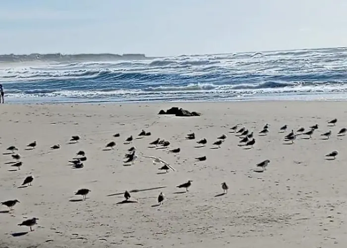 Atico Maravilloso En Cangas , Vigo