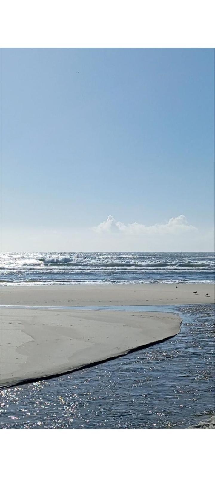 Atico Maravilloso En , Vigo Homestay *